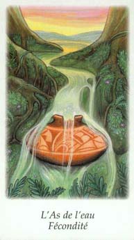 As de l'Eau du Tarot Vision Quest, Gayan S. Winter et Jo Dosé, aux éditions AGMULLER.